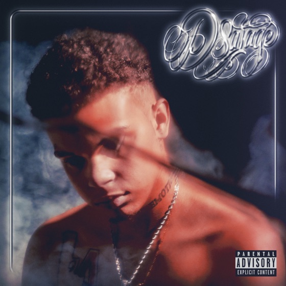 Cover artwork for Looking Lost