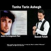Tanha Tarin Ashegh artwork