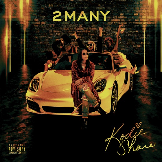 Cover artwork for 2 Many