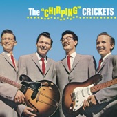 The "Chirping" Crickets artwork