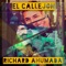 Como Fue (feat. Ayaari Nocedal) - Richard Ahumada lyrics