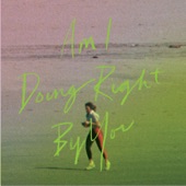 Am I Doing Right by You? artwork