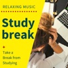 Studybreak - Relaxing Music to Take a Break from Studying