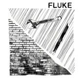 Fluke - Dog & Bone