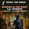 Diamond in the Night (feat. Bowman) [Caglioni - Maurinaz Remix] - Single