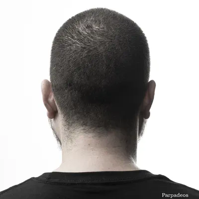 Parpadeos - Single - Granuja