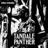 Tandale Panther - EP - Sholo Mwamba