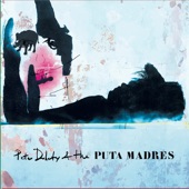 Peter Doherty & the Puta Madres (feat. The Puta Madres) artwork