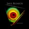 Solemnity (Acoustic) [feat. Bleaeck] - Saul Bleaeck lyrics