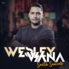 wesley viana - Na Cama Que Eu Paguei