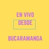 Desde Bucaramanga (En Vivo) - Single