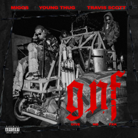 Migos - Give No Fxk (feat. Travis Scott & Young Thug) artwork