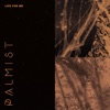 Palmist - Life for Me