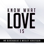 Know What Love Is (Radio Edit) artwork