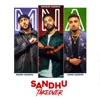 Sandhu Takeover - Single