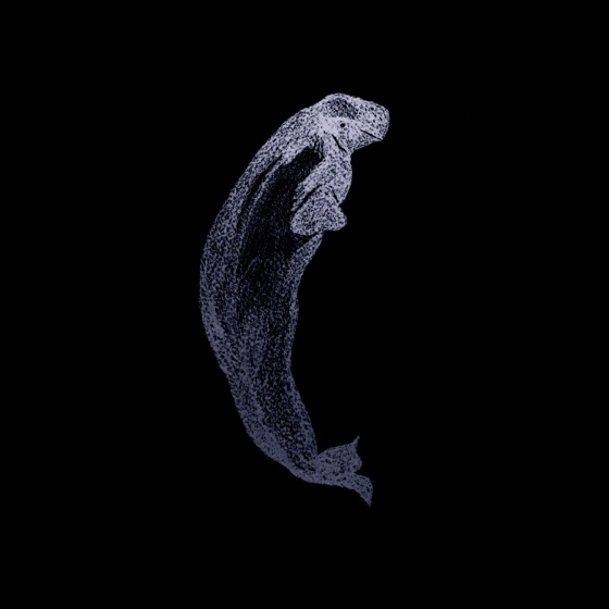 Cover artwork for T'choupi
