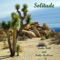 Solitude (feat. Pablo Arellano) - Neoka Falk lyrics