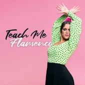 Teach Me Flamenco artwork