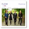Promise (feat. Will Ackerman, Fiona Joy Hawkins, Lawrence Blatt & Jeff Oster) album lyrics, reviews, download