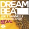 Ritual (Silvano Del Gado Mix) - Joe T. Vannelli & Silvano Del Gado lyrics