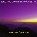 Electric Chamber Orchestra - Morning