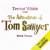 Mark Twain - The Adventures of Tom Sawyer artwork