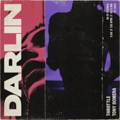Darlin (Extended Mix) artwork