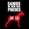 Boxer - La Cerveza y el Dolor