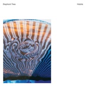 Elephant Tree - Sails