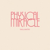 Harry Paradise - Physical Miracle