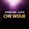 Che woue (feat. Salatiel) - Stephane Akam lyrics