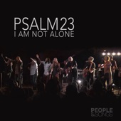 Psalm 23 (I Am Not Alone) [feat. Joshua Sherman] artwork