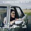 Karmen Pál-Balaž - Púšťam ťa