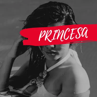 Princesa - Single - Zetty