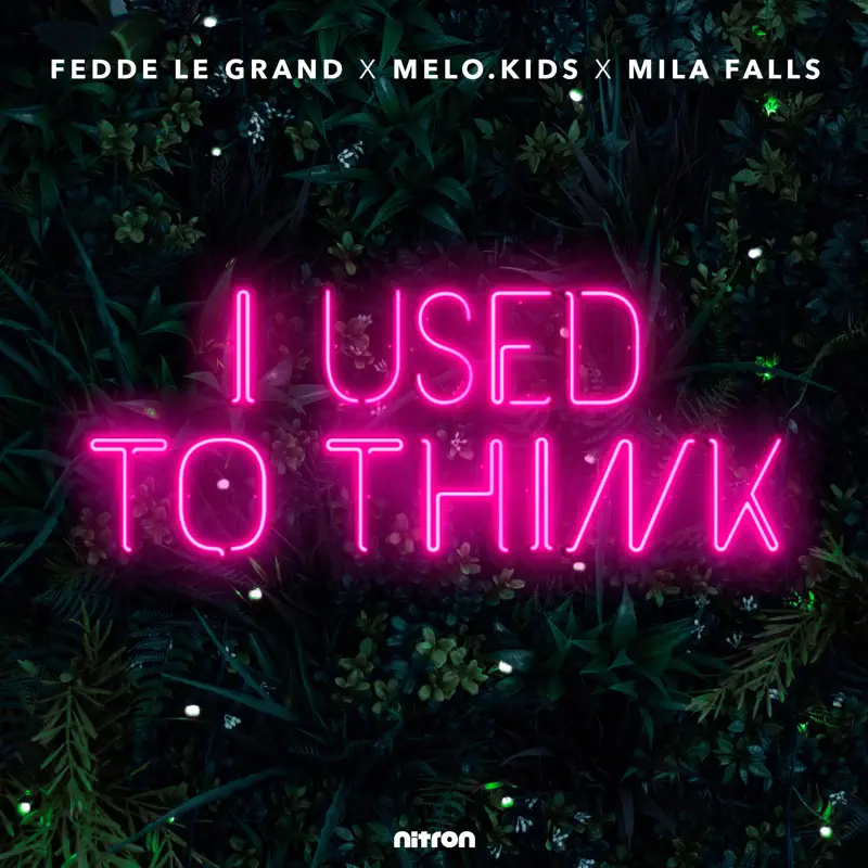 Fedde Le Grand, Melo.Kids & Mila Falls - I Used To Think - Single (2023) [iTunes Plus AAC M4A]-新房子