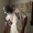 D'Prince Feat. Phyno - Tarity