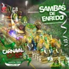 Sambas de Enredo: Carnaval SP 2020, Grupo Especial e Acesso I