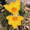 Yuki - Single