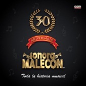 30 Aniversario, Toda la Historia Musical artwork