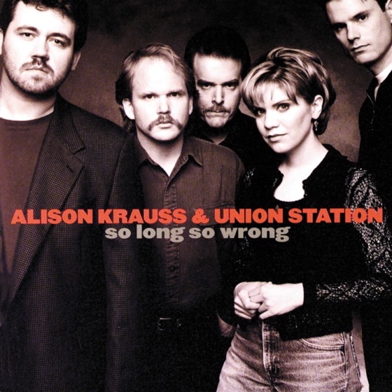 Cover artwork for So Long, So Wrong
