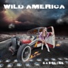 Wild America - Is Anybody Listening