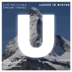 Syntheticsax & Dream Travel - Leaves in Winter (Banderich Artem Remix)