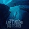 W.F.W.M - TG 318 lyrics