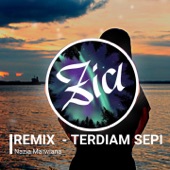 Terdiam Sepi (Remix) artwork
