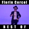 Florin Cercel - Lacrimile Mele