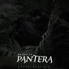 Se Fue La Pantera by Grupo Recluta iTunes Track 3