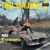 Mi Tesoro artwork