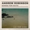 Your Love Is Extravagant - Andrew Robinson lyrics