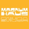 Shuga - Single