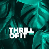 Thrill of It (feat. Frank Moody) artwork